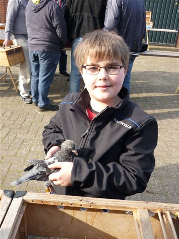 duivenmarkt3