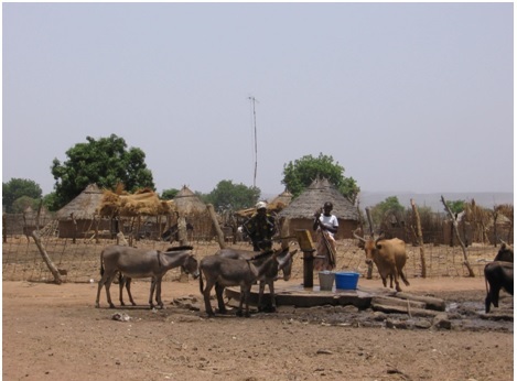mali 1
