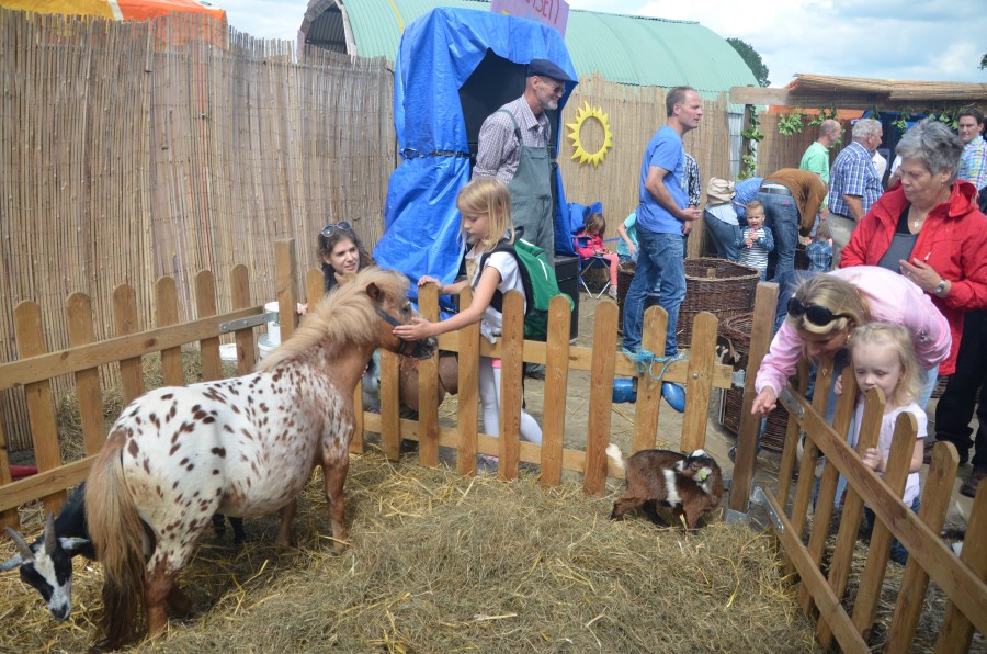 zondag kids Custom