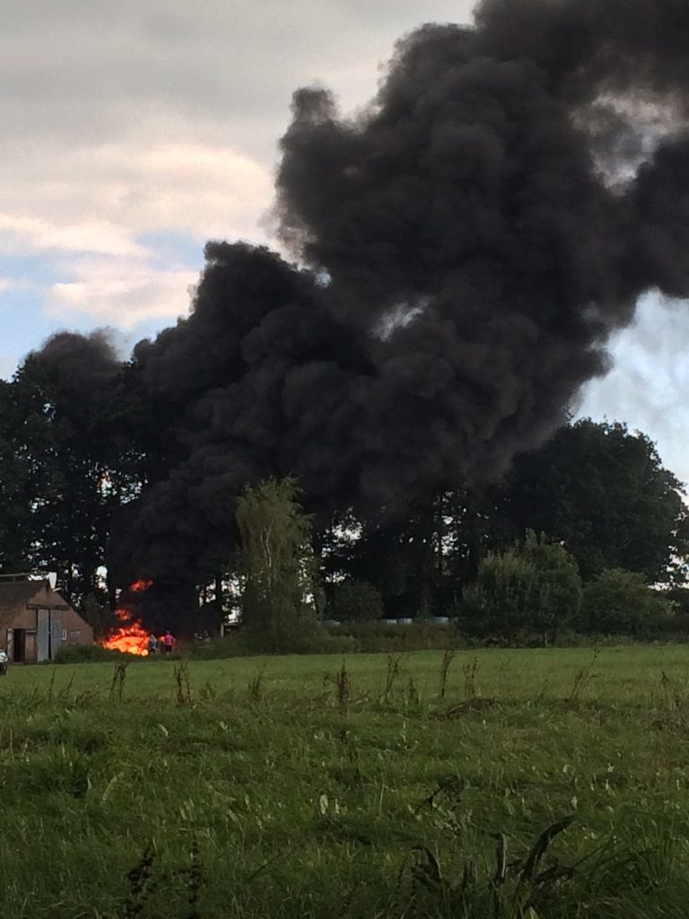 brand 1