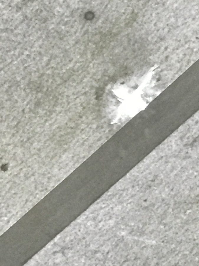 schade 2016 1