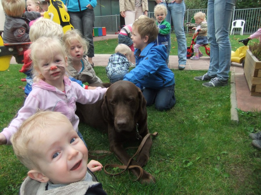 dierendag bommel 2011 017