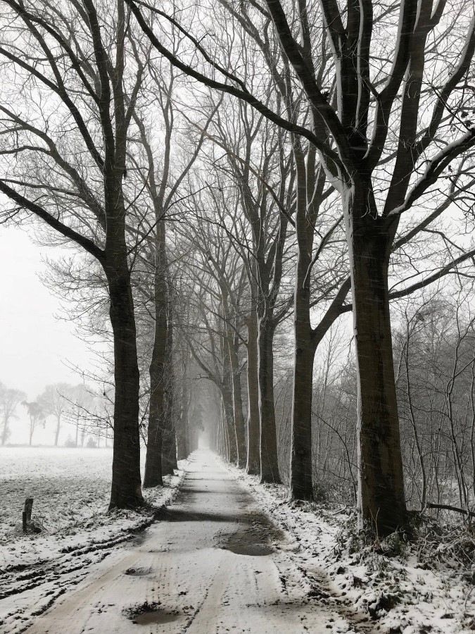 sneeuwpret dec 17 3