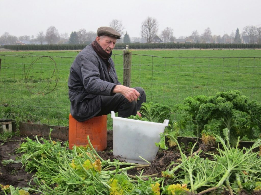 johan groentetuin