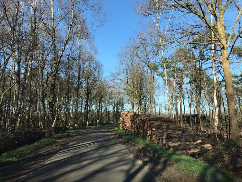 achterveld