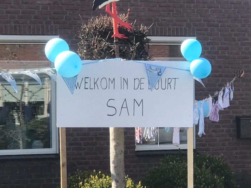 sam2