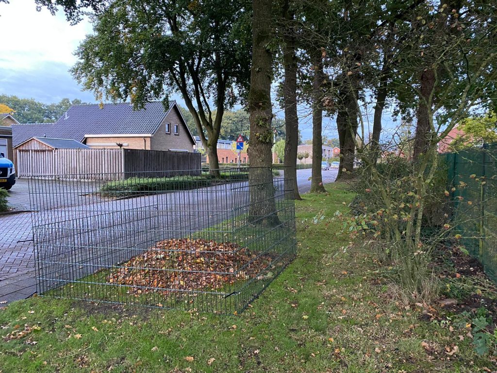 korve15