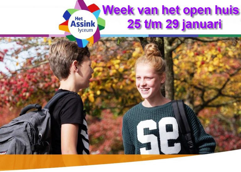 assink met