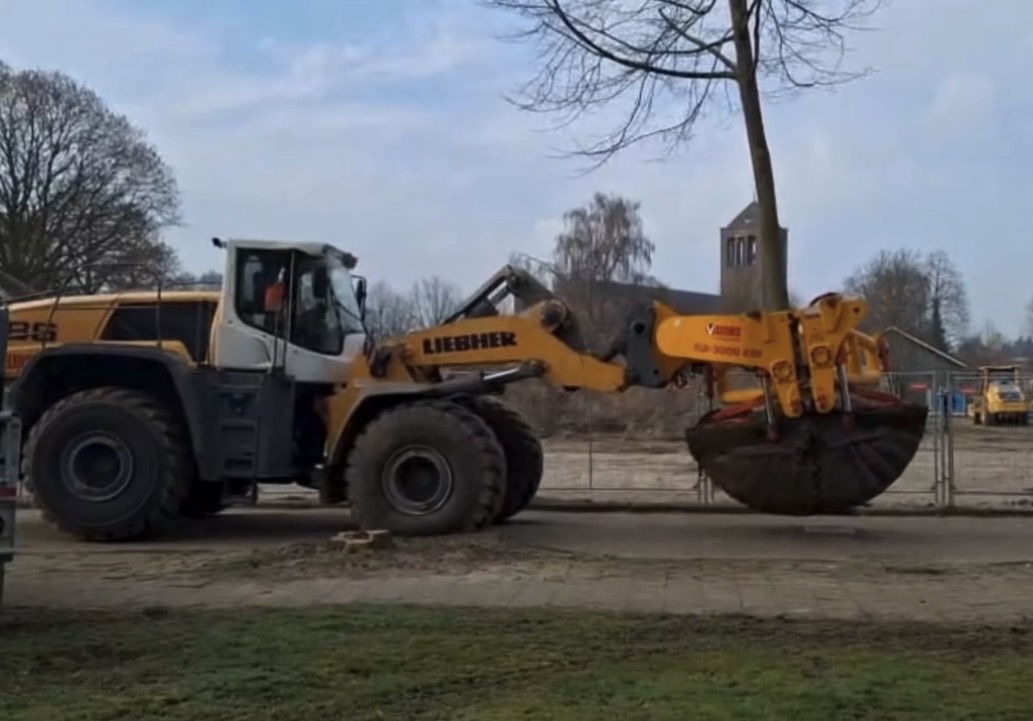 VIDEO | Vakwerk uit Hengevelde: Geurs geeft bomen een tweede leven door herplanting